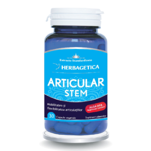 articular stem 30 capsule.png