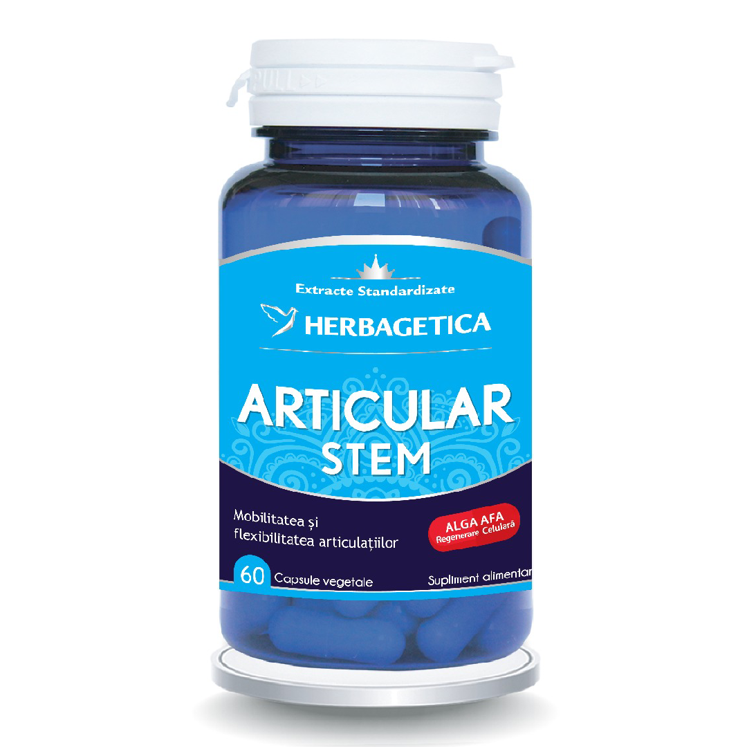 articular stem 60 capsule.png
