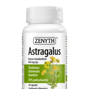 Astragalus, 450 mg, 30 capsule, Zenyth