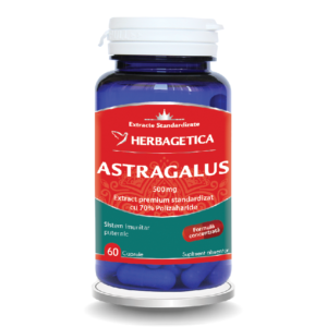 astragalus 60capsule.png