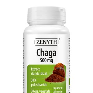 Chaga 500mg, 30 capsule, Zenyth