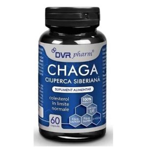 Chaga, 60 capsule, DVR Pharm