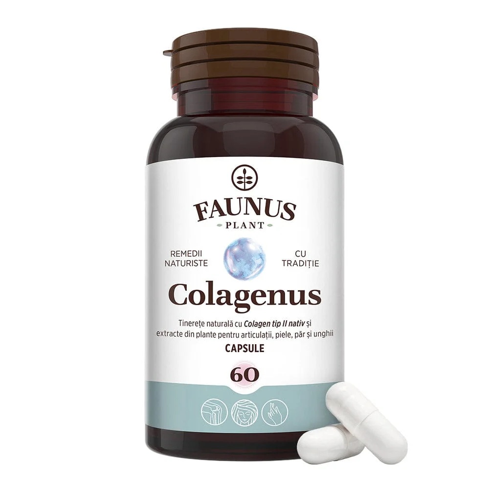 Colagenus Capsule – Colagen tip II, articulatii, 60 capsule, Faunus Plant