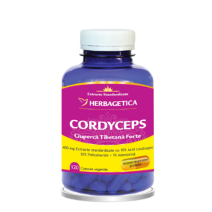 cordyceps 120 capsule herbagetica.png