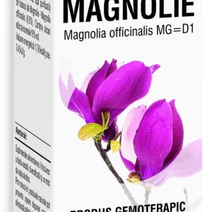 Extract din boboci de magnolie, 50ml, PlantExtrakt