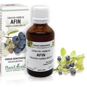 Extract din mladite de Afin, 50ml, PlantExtrakt