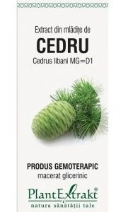 Extract din mladite de Lemn Cainesc, 50ml, PlantExtrakt