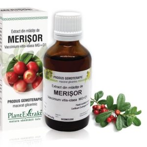 Extract din mladite de Merisor, 50ml, PlantExtrakt