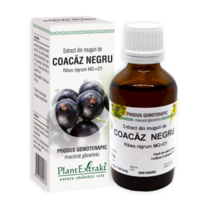 extract din muguri de coacaz negru 50 ml plant extrakt.png