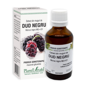 extract din muguri de dud negru 50 ml plant extrakt.png