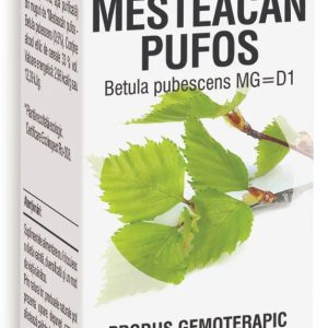 Extract din muguri de Mesteacan Pufos, 50ml, PlantExtrakt