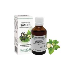 Extract din muguri de sanger, 50ml, Plantextrakt