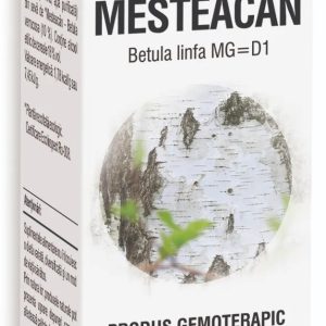 Extract din seva de Mesteacan, 50ml, PlantExtrakt