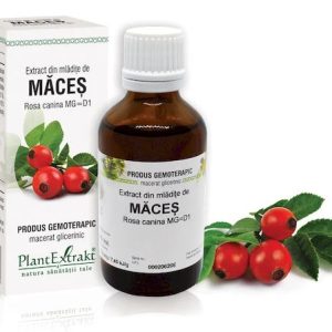Extract mladite maces x 50ml (PLX)