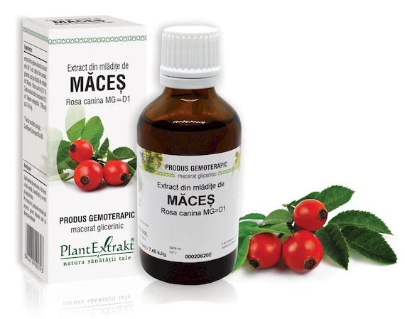 Extract mladite maces x 50ml (PLX)