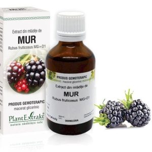 Extract mladite mur x 50ml (PLX)