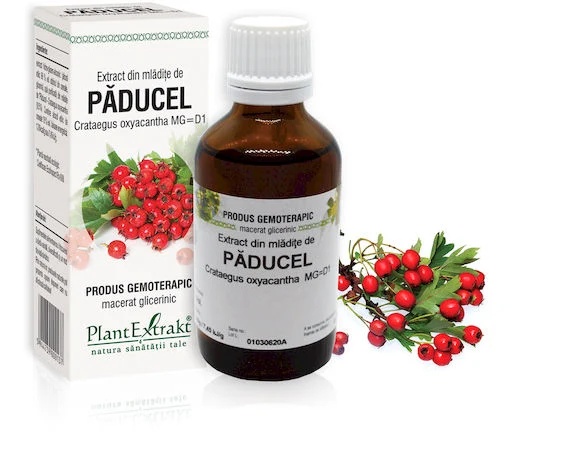Extract mladite paducel x 50ml (PLX)