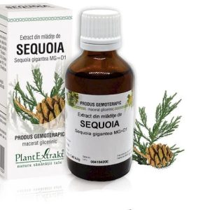 Extract mladite sequoia x 50ml (PLX)
