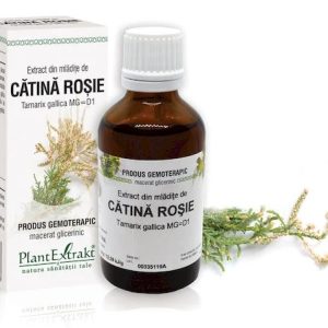 Extract mladite tamarix x 50ml (PLX)