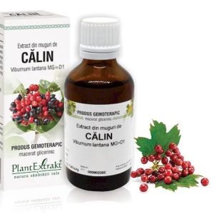 Extract muguri calin x 50ml (PLX)