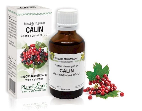 Extract muguri calin x 50ml (PLX)