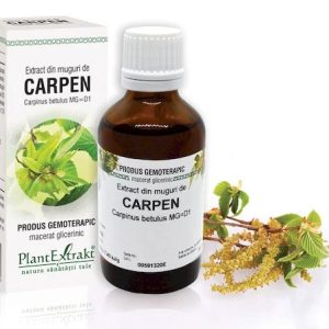 Extract muguri carpen x 50ml (PLX)