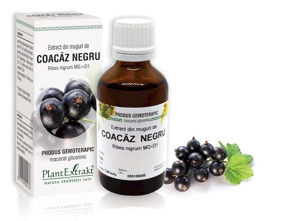 Extract muguri coacaz negru x 50ml (PLX)
