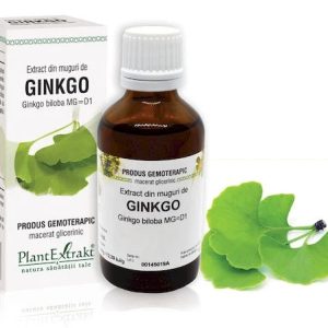 Extract muguri ginkgo x 50ml (PLX)