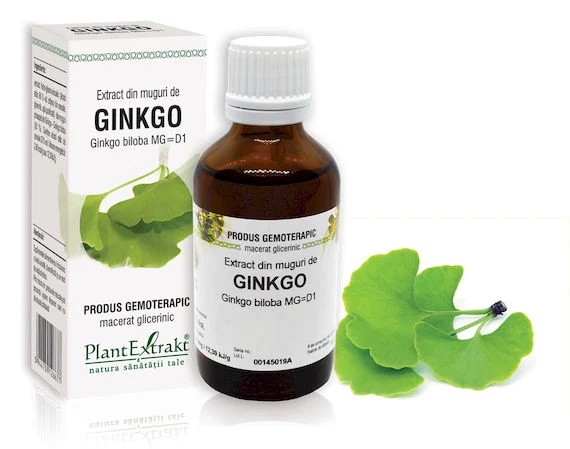 Extract muguri ginkgo x 50ml (PLX)