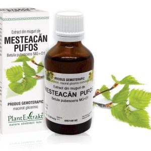 Extract muguri mesteacan pufos 50ml(PLX)