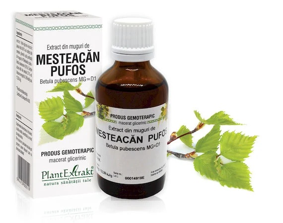 Extract muguri mesteacan pufos 50ml(PLX)
