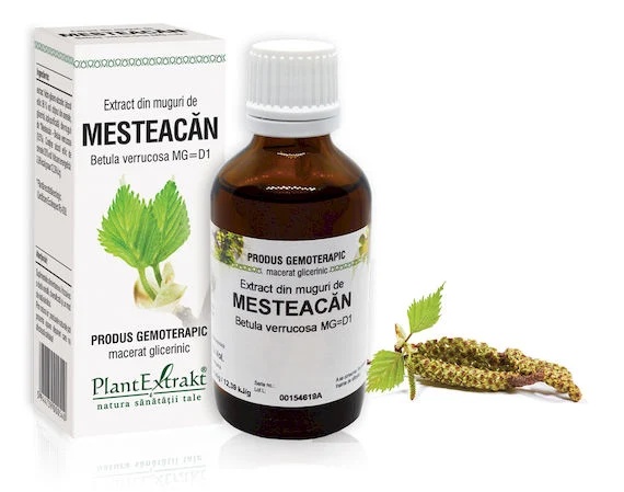 Extract muguri mesteacan x 50ml (PLX)