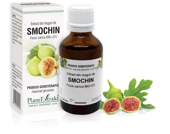 Extract muguri smochin x 50ml (PLX)