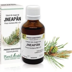 Extract din muguri de Jneapan, 50ml, PlantExtrakt