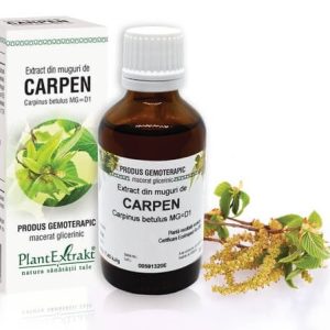Extract din muguri de Carpen, 50ml, PlantExtrakt