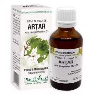 Extract din muguri de artar, 50ml, PlantExtrakt
