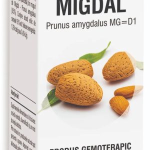 Extract din muguri de Migdal, 50ml, PlantExtrakt