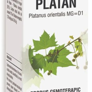 Extract din muguri de Platan, 50ml, PlantExtrakt
