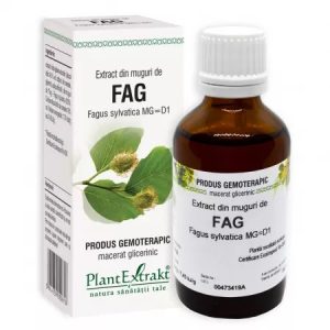 Extract din muguri de fag, 50ml, PlantExtrakt