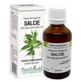 Extract din muguri de salcie, 50ml, PlantExtrakt