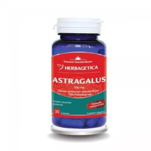 Astragalus 500mg, 30 capsule, Herbagetica