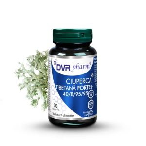 Ciuperca tibetana Forte+, 30 capsule, DVR Pharm