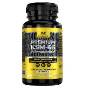 Ashwagandha KSM-66 Premium, 60 capsule vegane, Boost4Life