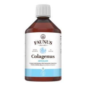 Colagen lichid hidrolizat pentru muschi si ligamente Colagenus Articulatii, 500ml, Faunus Plant