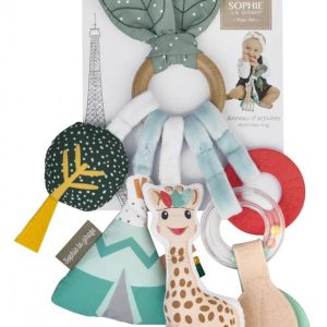 Inel cu activitati Frunza, 3L+, 850803, Vulli