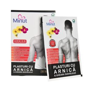 Plasturi cu arnica si gheara diavolului, 9 x 14cm, 1 bucata, Minut