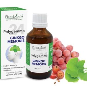 Polygemma 24 Ginkgo Memorie, 50 ml, Plant Extrakt