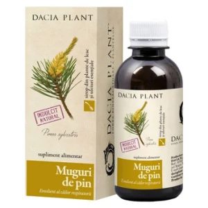 Sirop muguri de Pin, 200 ml, Dacia Plant