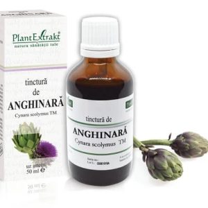 Tinctura Anghinara x 50ml (PLX)