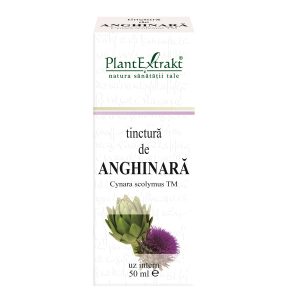 Tinctura de anghinara, 50 ml, Plantextrakt